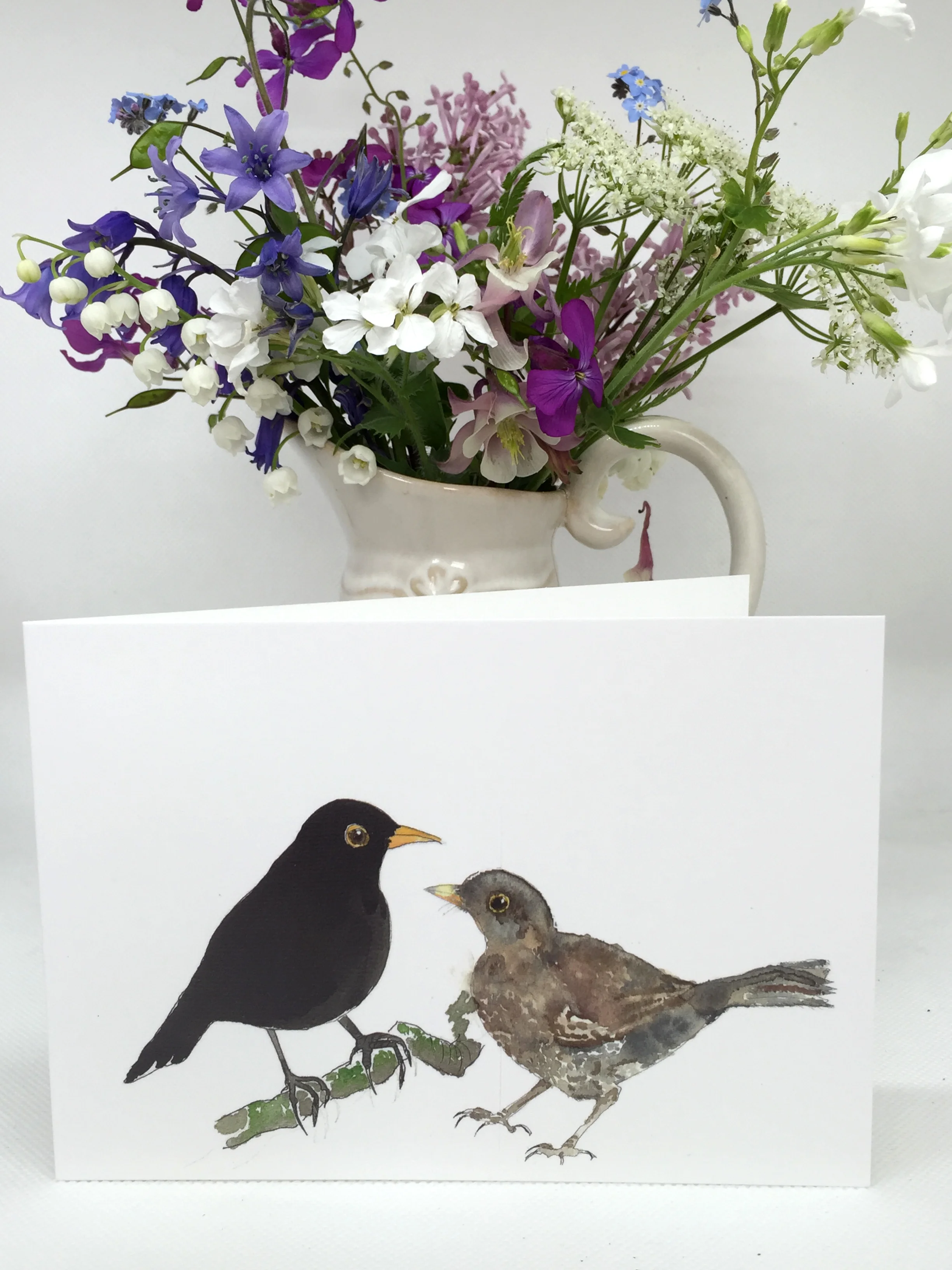 Blackbirds - Pair