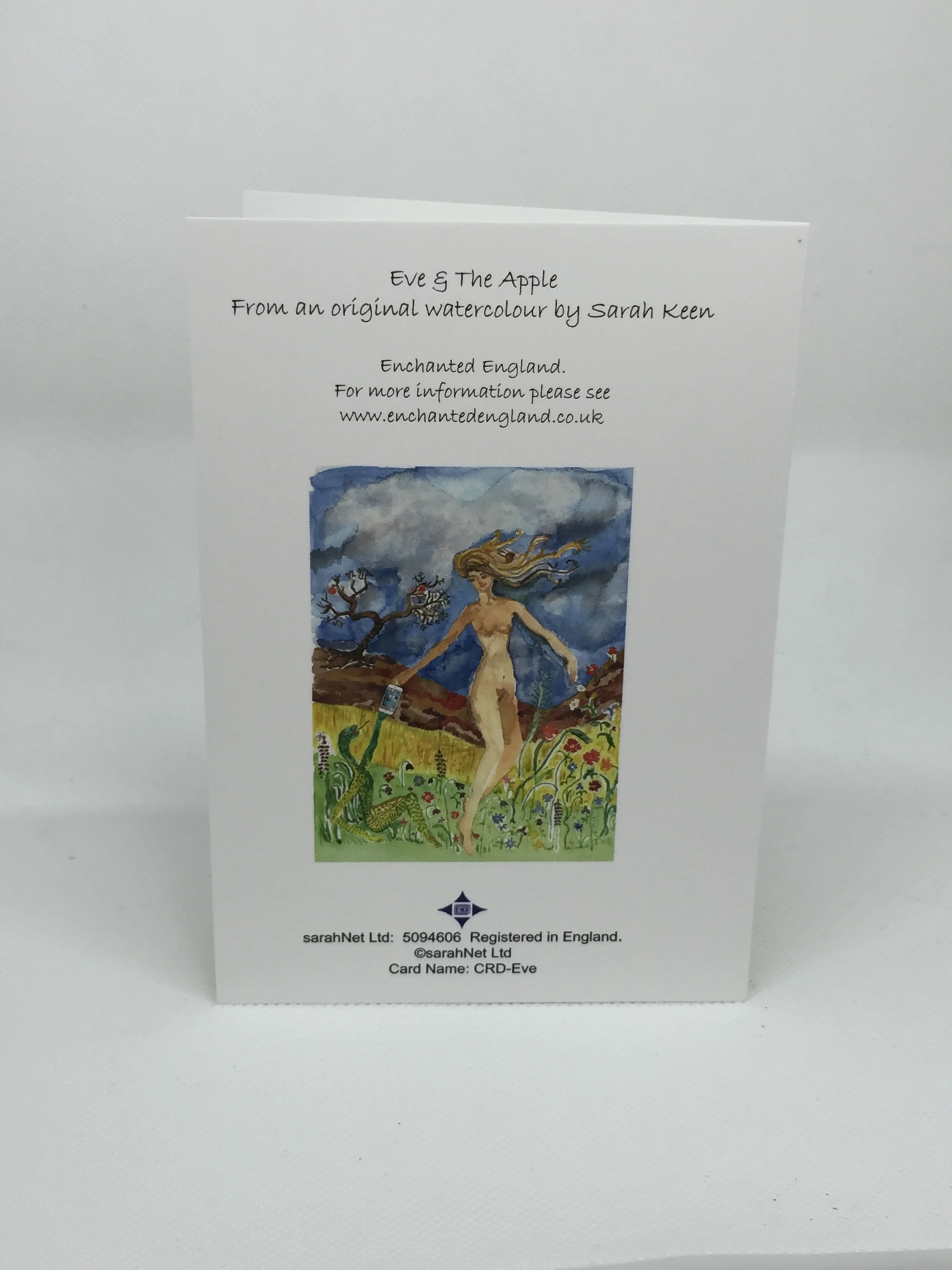 card back.jpg