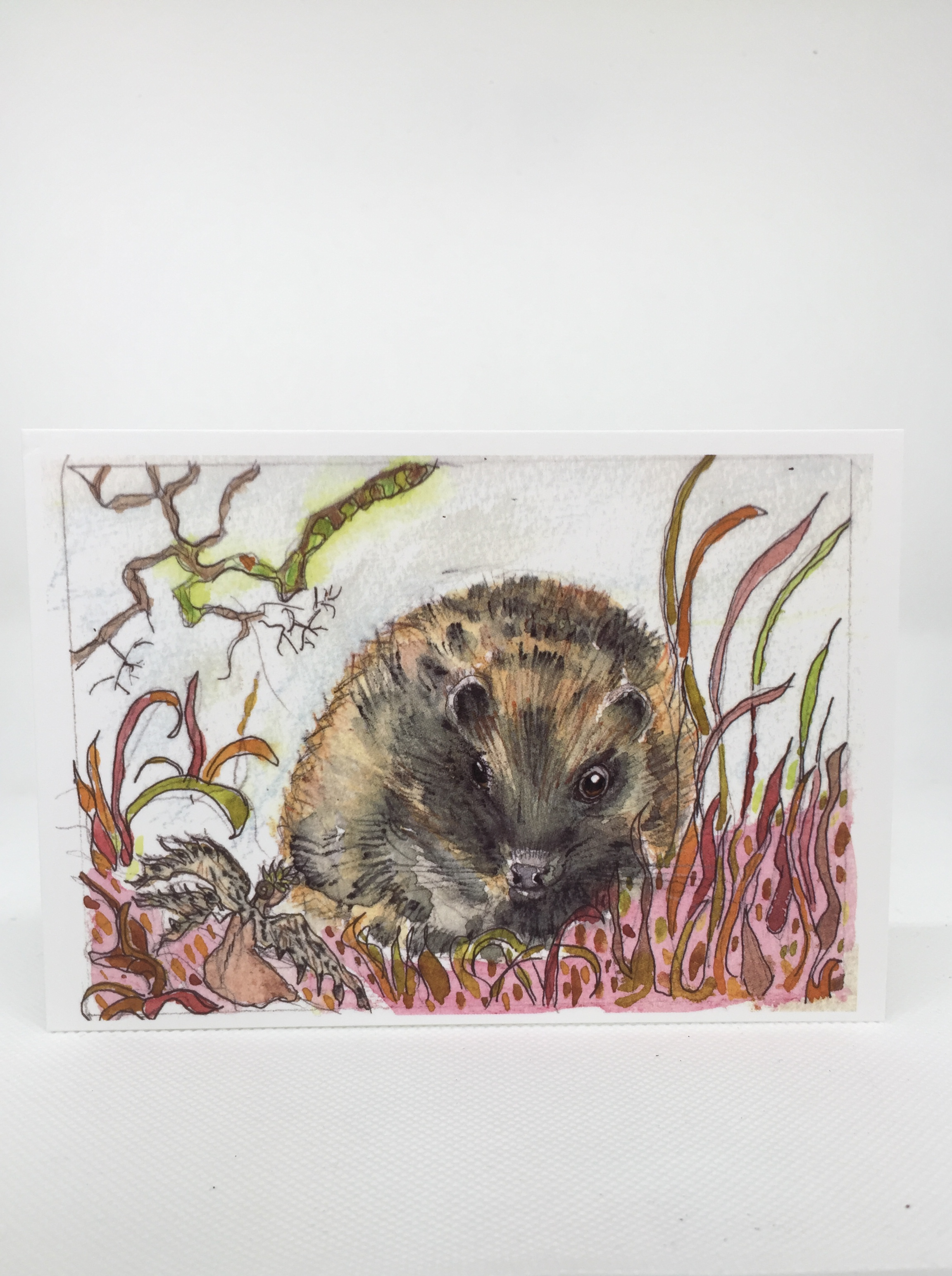 Hedgehog