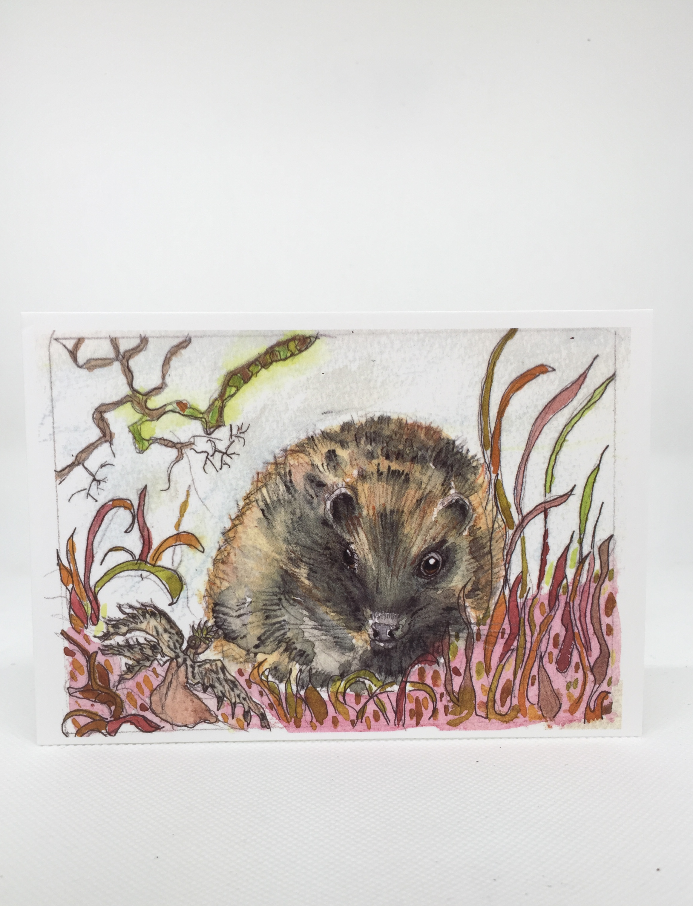 Hedgehog