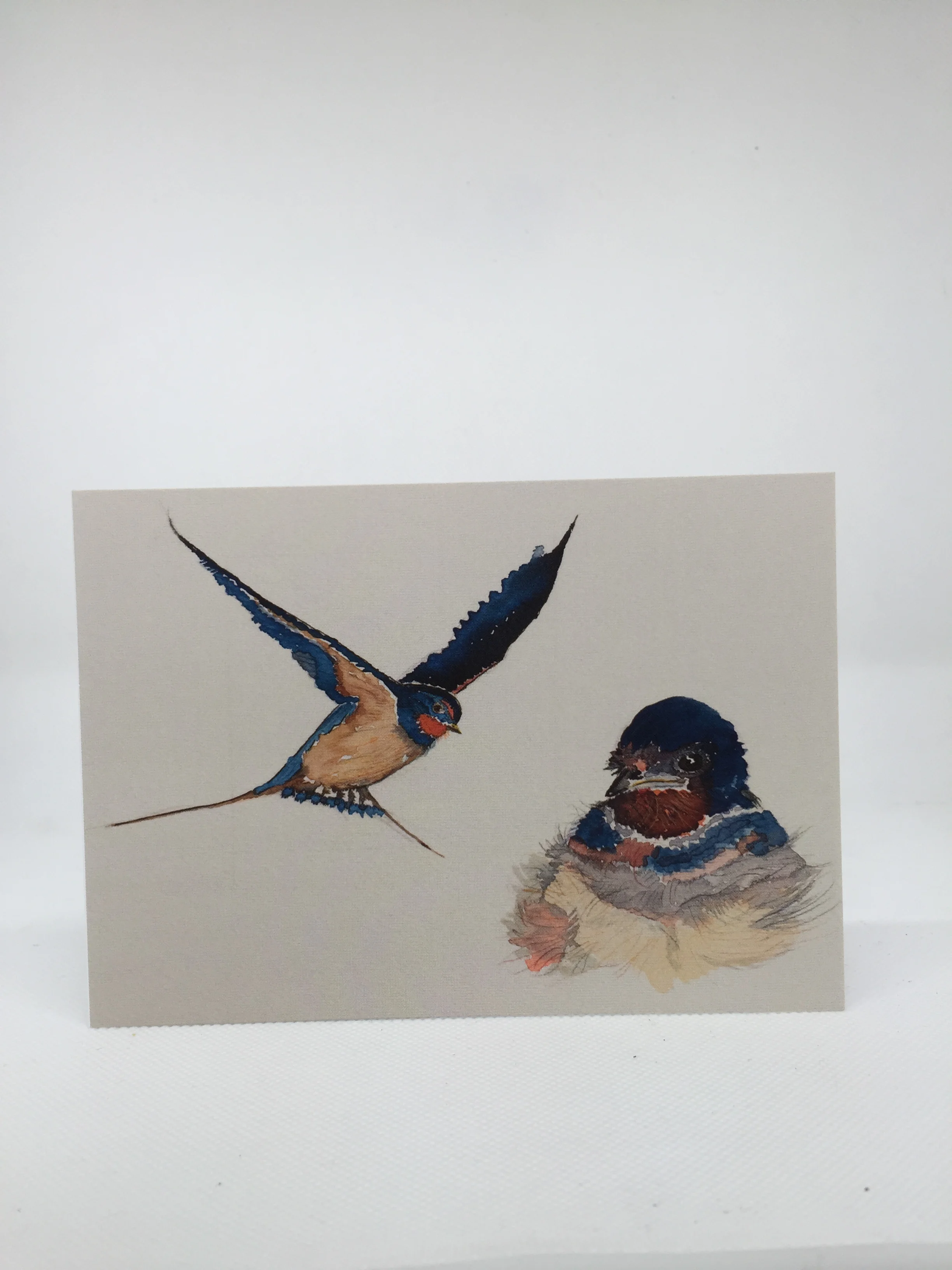 Swallows on cream card