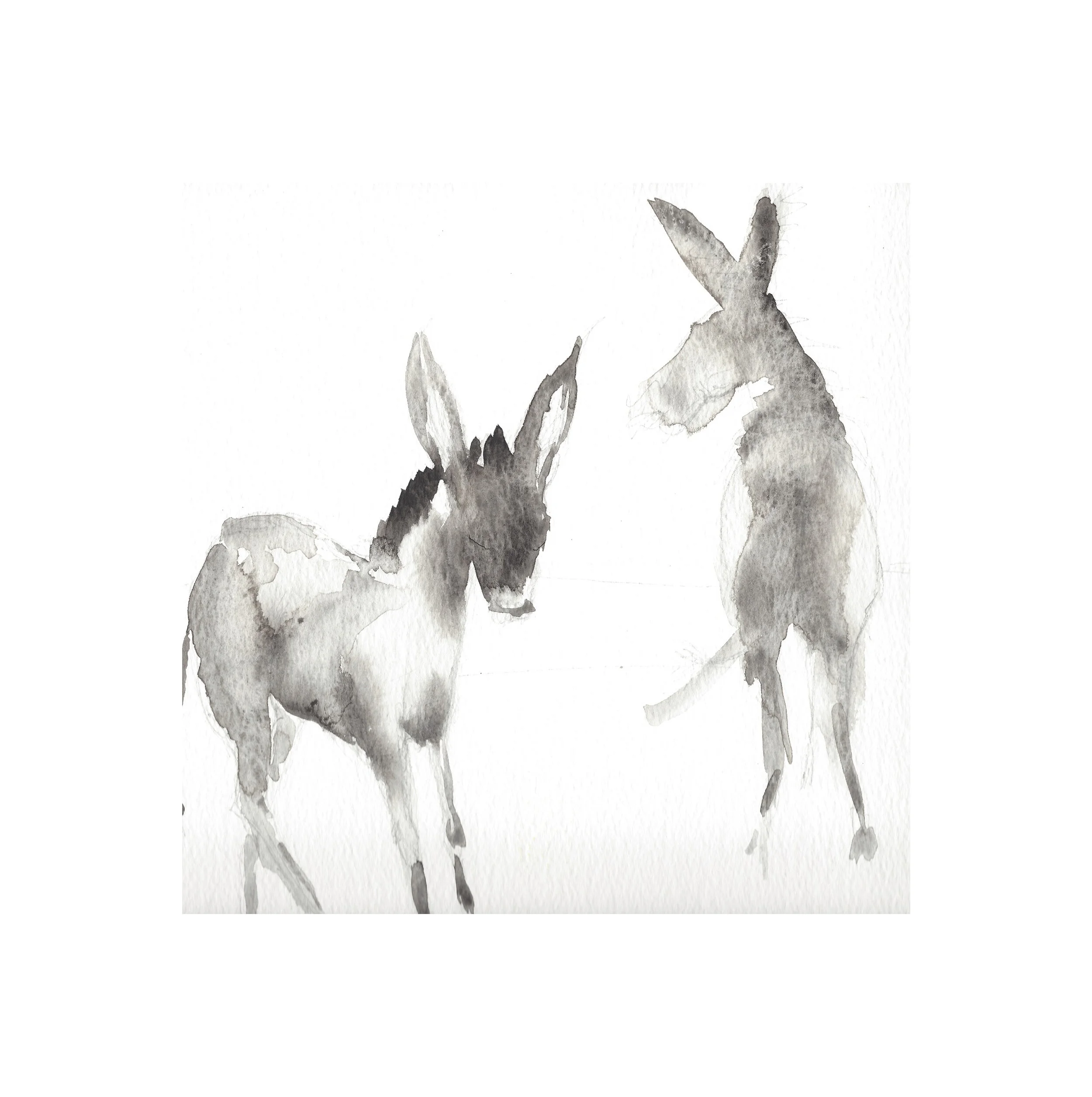 Open edition prints 