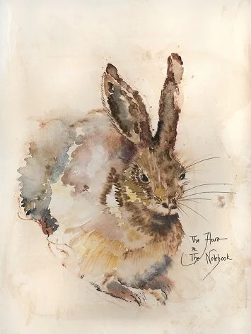 Brown Hare -Limited Edition Print