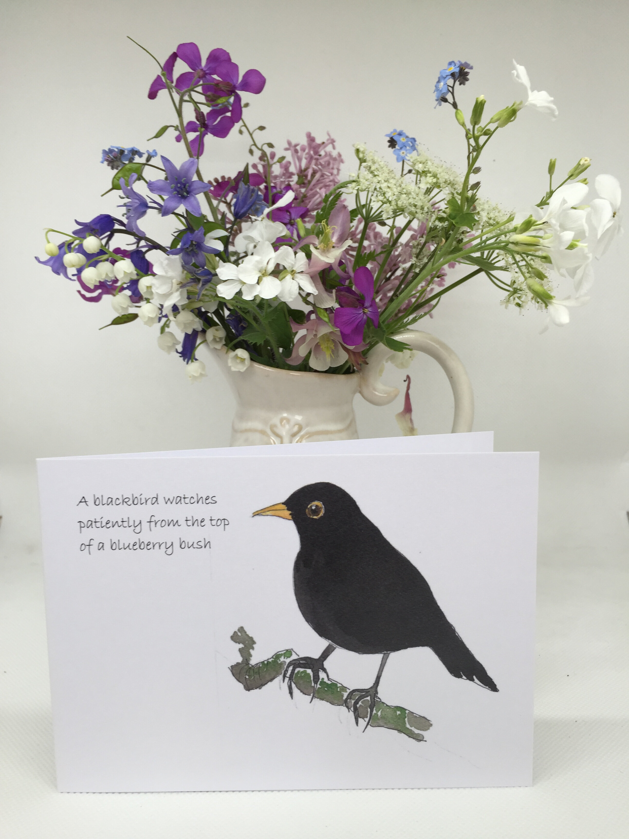 Blackbird with text