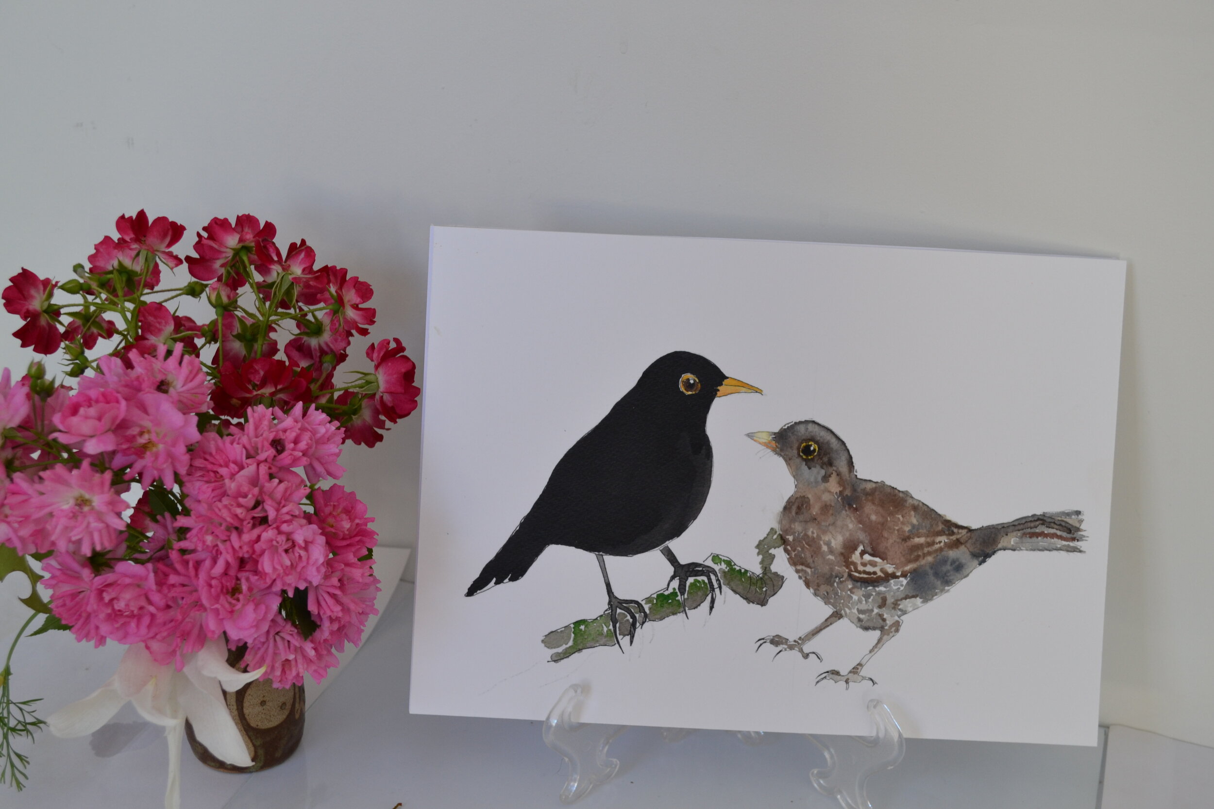 Pair of blackbirds A4 Print