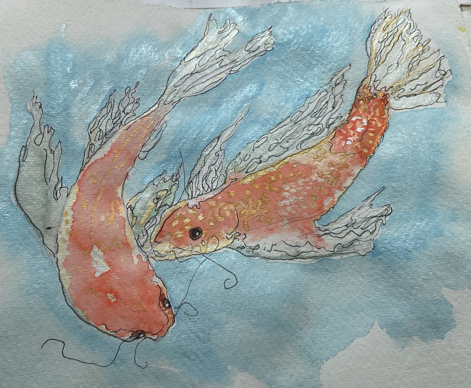Depressed fish - send help