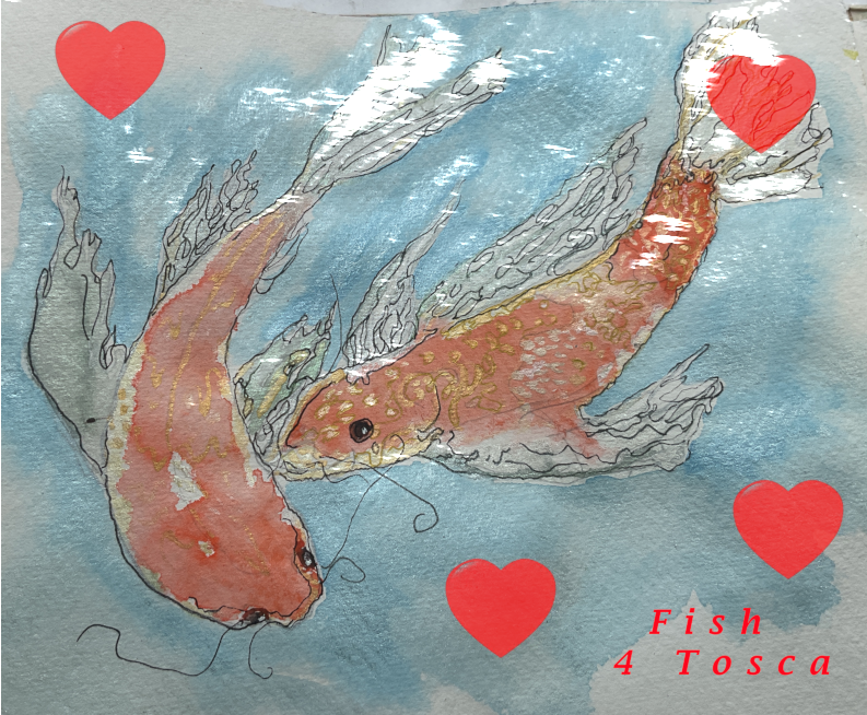 Fish 4 Tosca