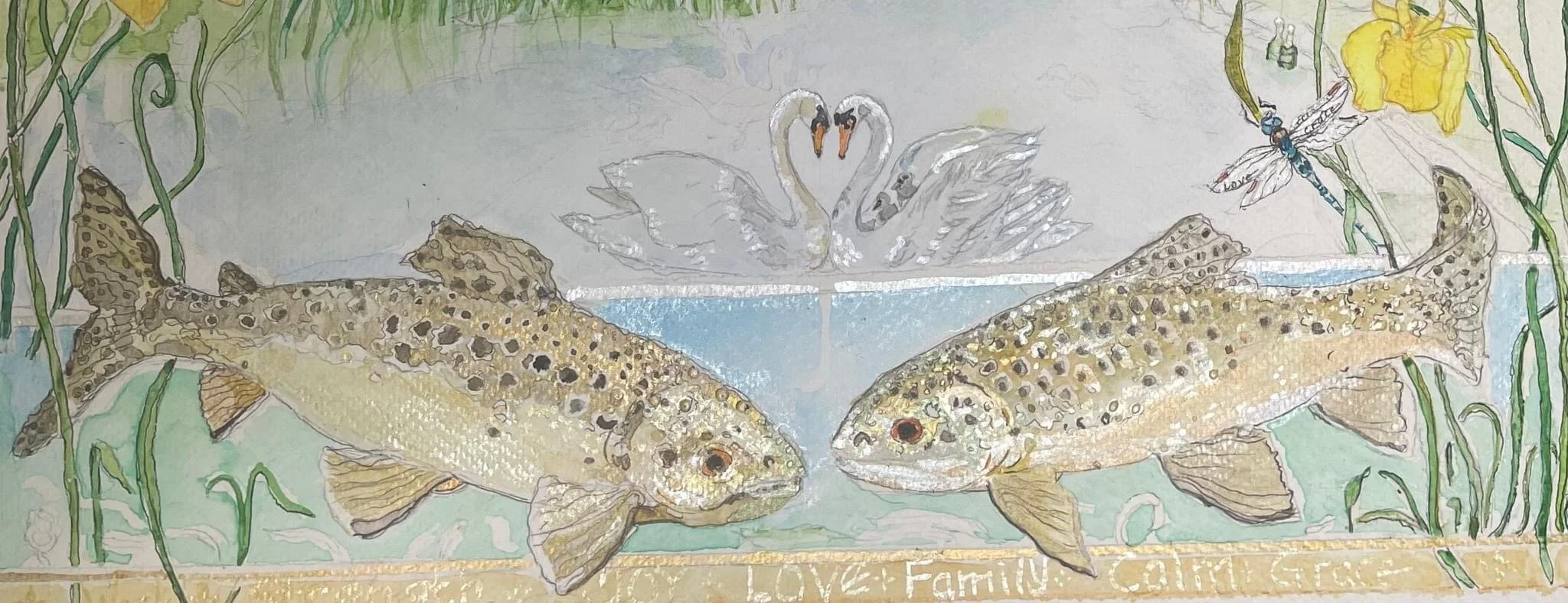 Watercolour painting of trout /River Test
