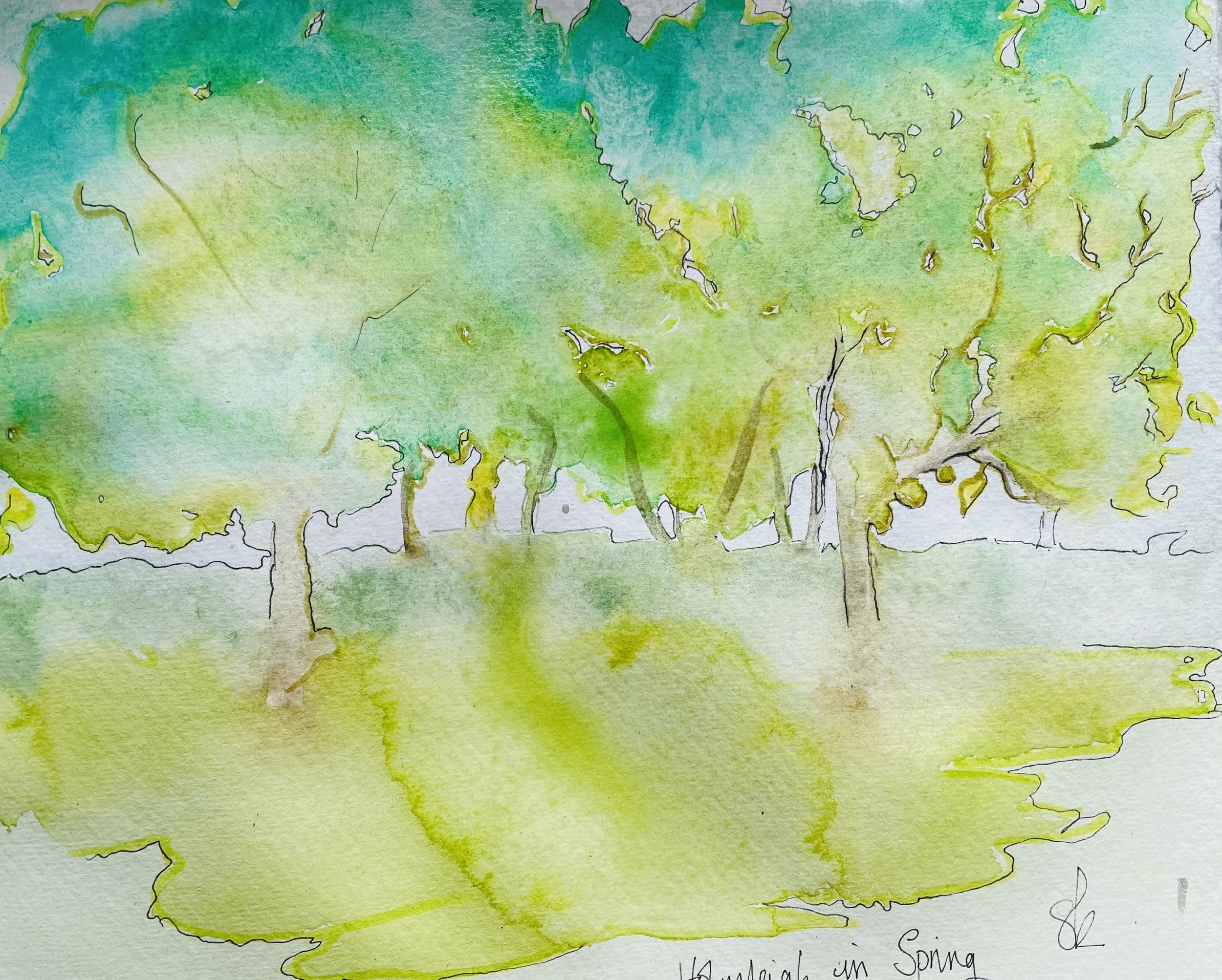 Watercolour sketch of Garden.