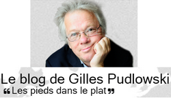 logo-pudlpo.png