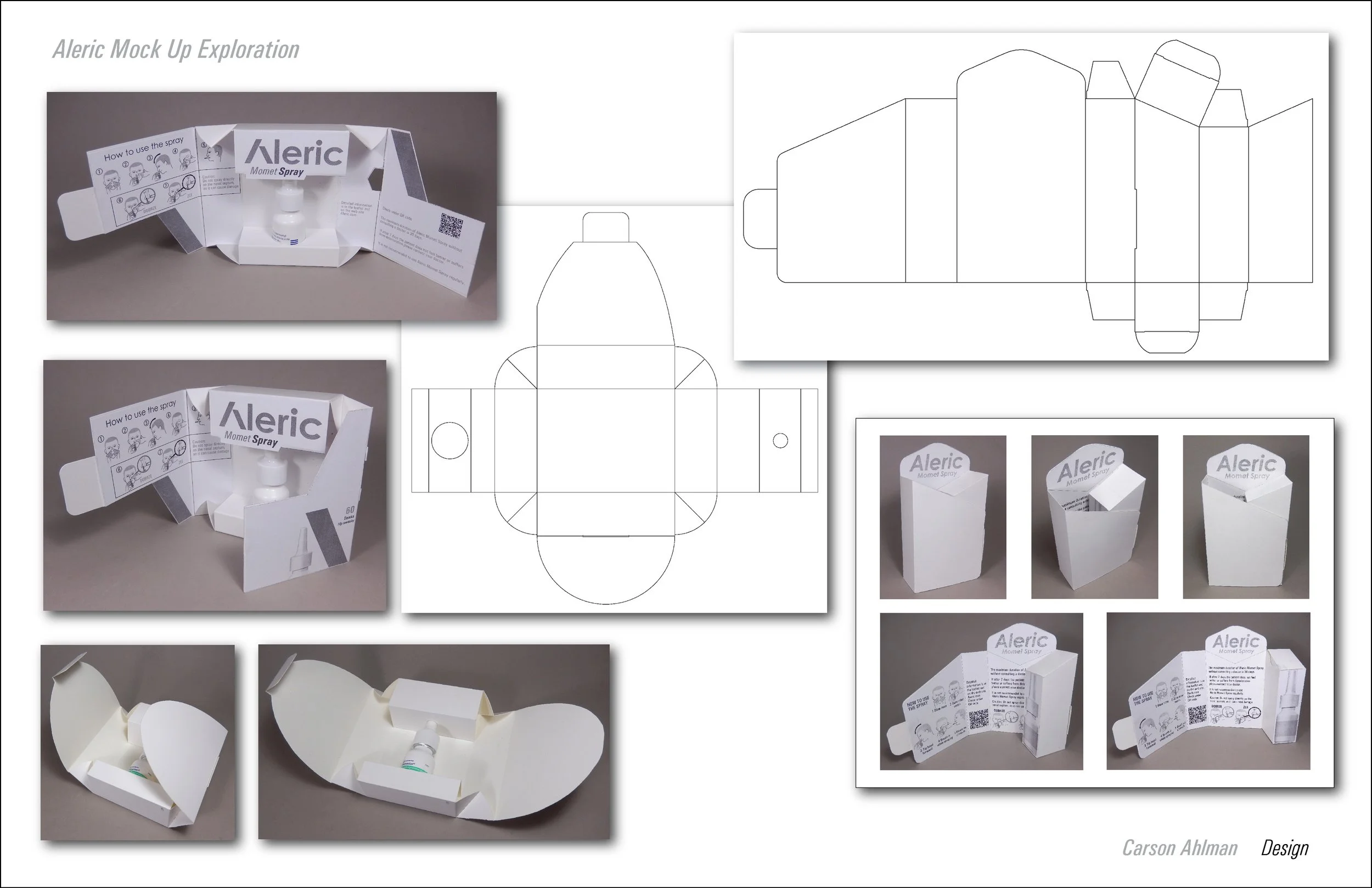 Aleric Mock Up Exploration.jpg