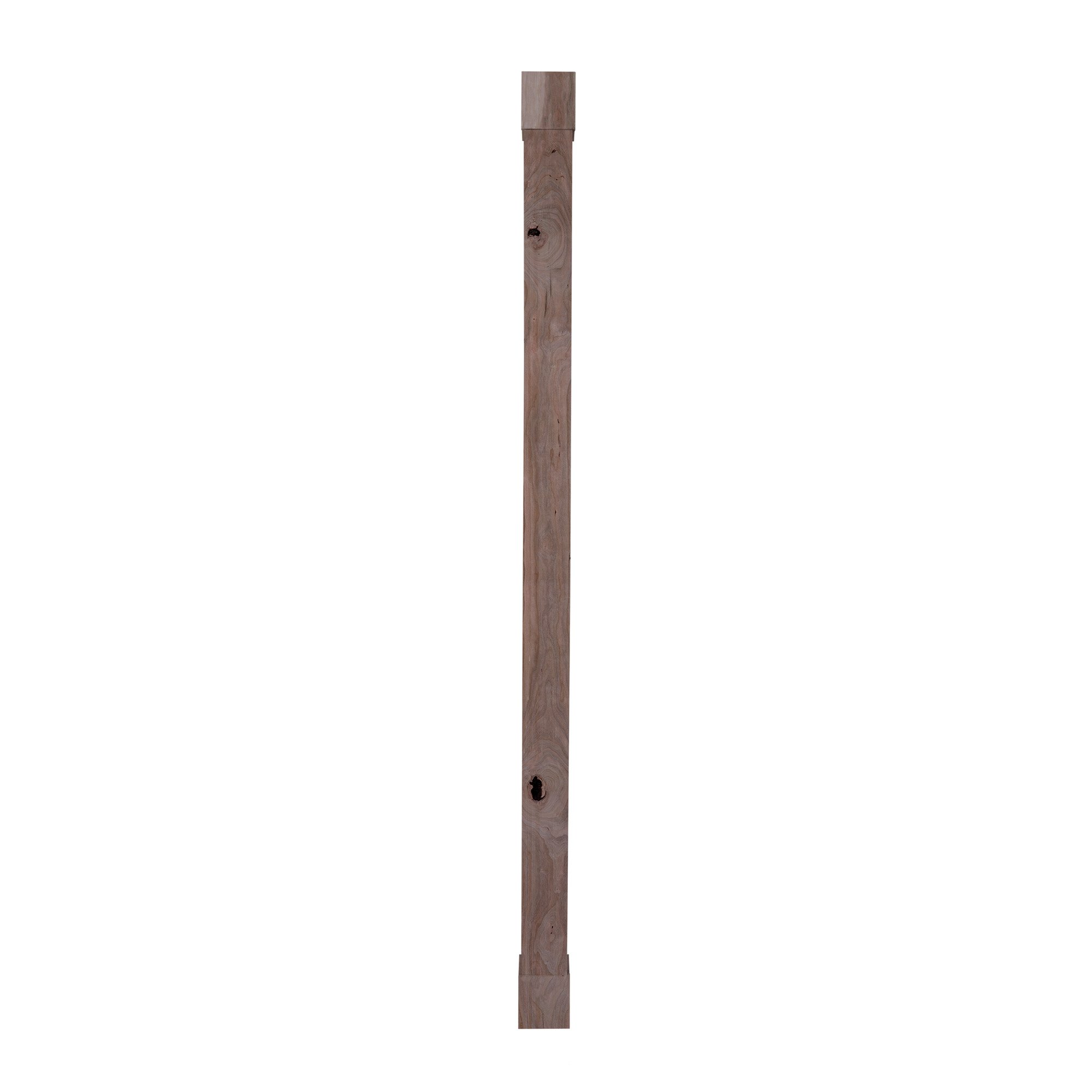 POLEWRAP01-RUSCHER_SO_WR.jpg