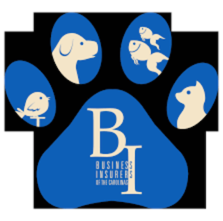 business insurance of the carolinas -MVP.png