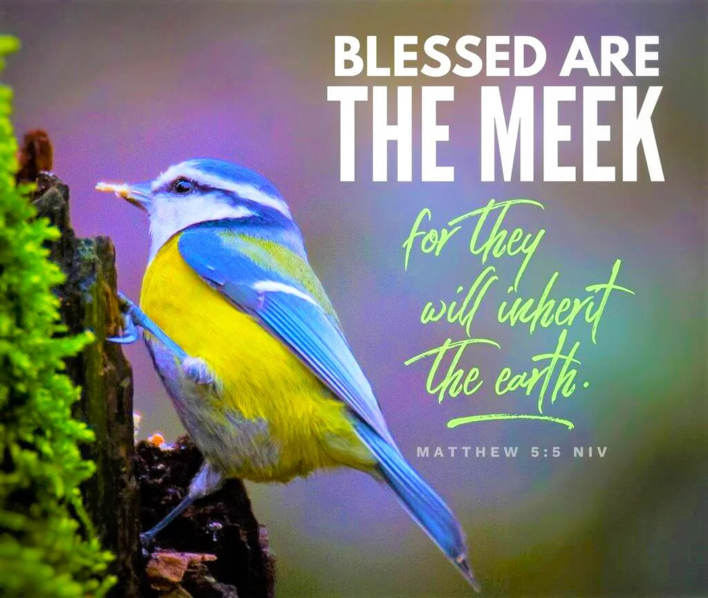 Blessed Are the Meek, Pt. 1