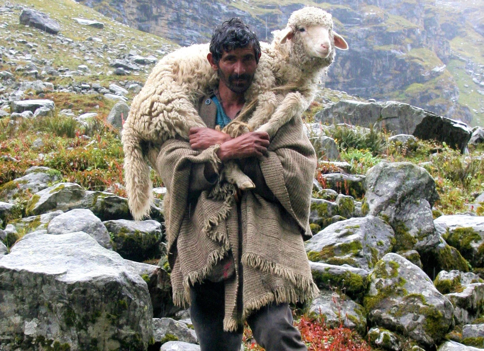 The Shepherd Restores (Psalm 23, Pt. 3)