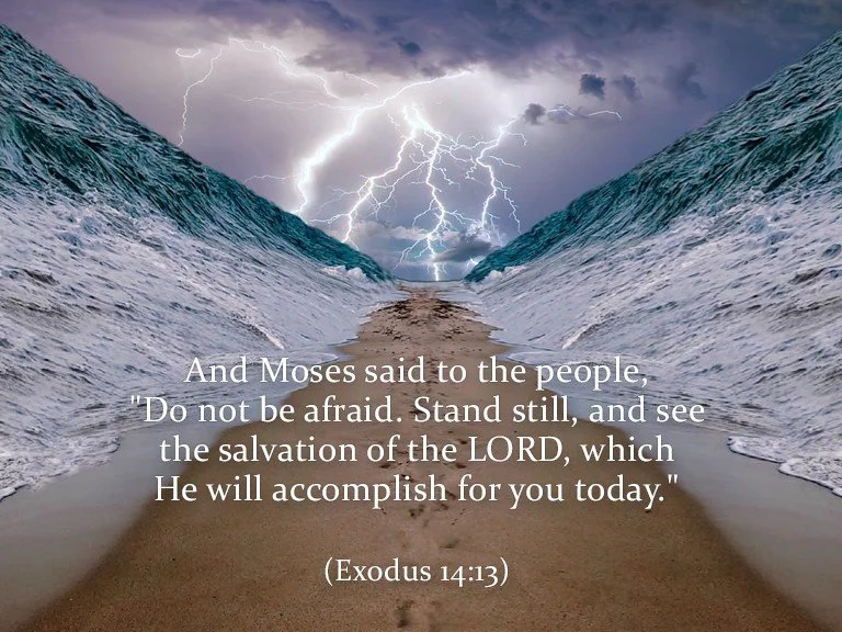 The Power of Vision