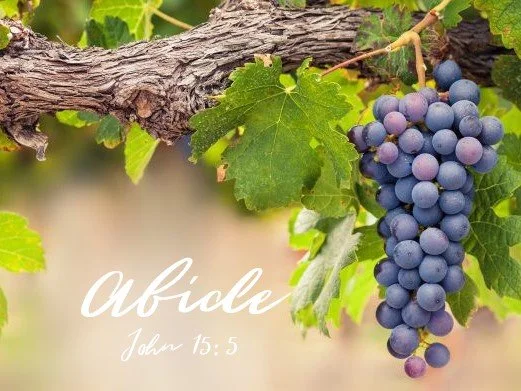 Self-Sufficiency (Living Limited for God's Glory, Pt. 3)