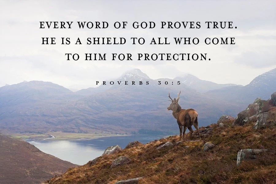 Principles to Live By: The Word of God is Our Anchor, Pt. 5