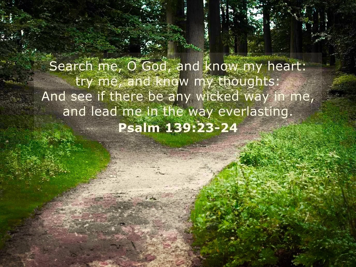 Knowing the Will of God, Pt. 4