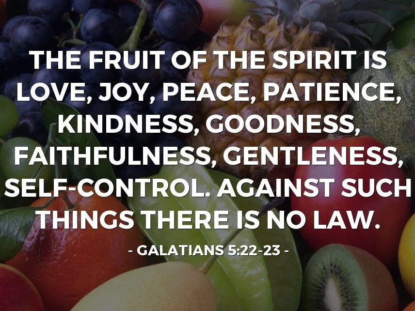 Walking in the Spirit, Pt. 4