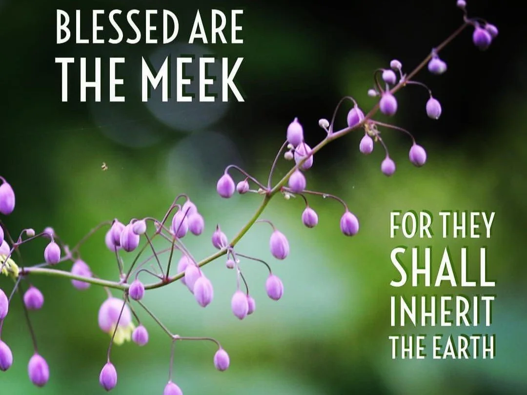 The Rewards of Meekness