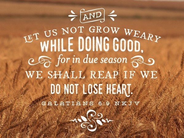 How Not to Grow Weary While Doing Good