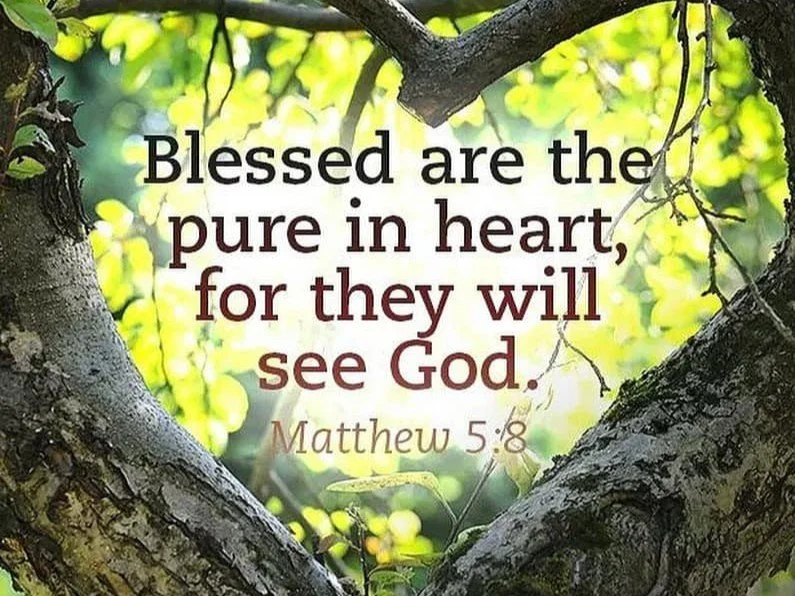 Who Are the Pure in Heart?