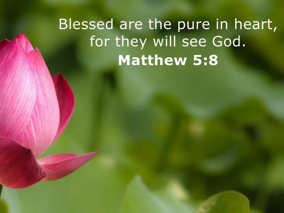 What Do the Pure in Heart Receive?