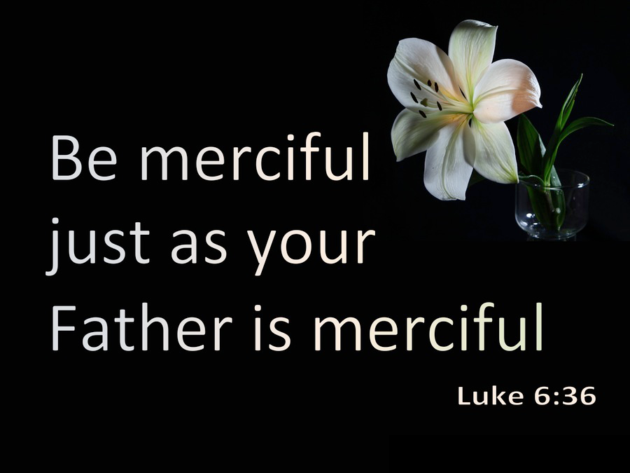 What Do You Reflect?