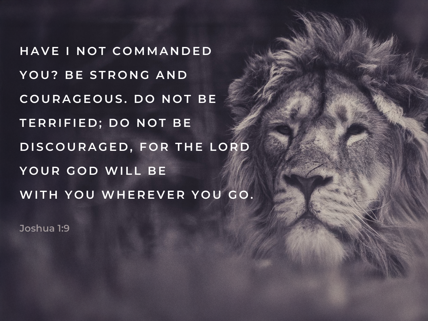 Courageously Strong