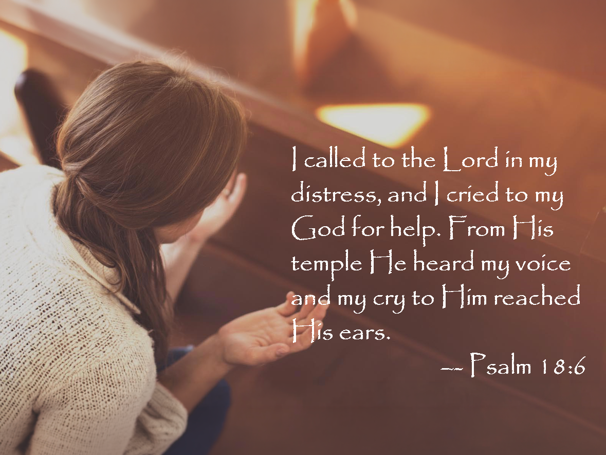 What do you do when you feel "wrapped", "terrified", "entangled"?