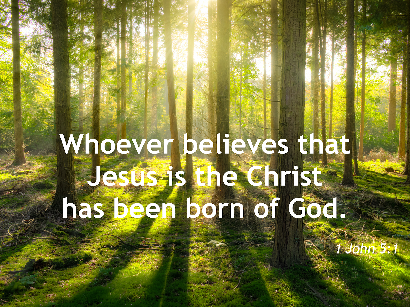 The Power of Belief