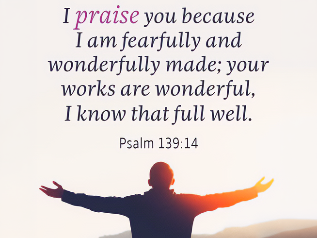 Wonderfully Made
