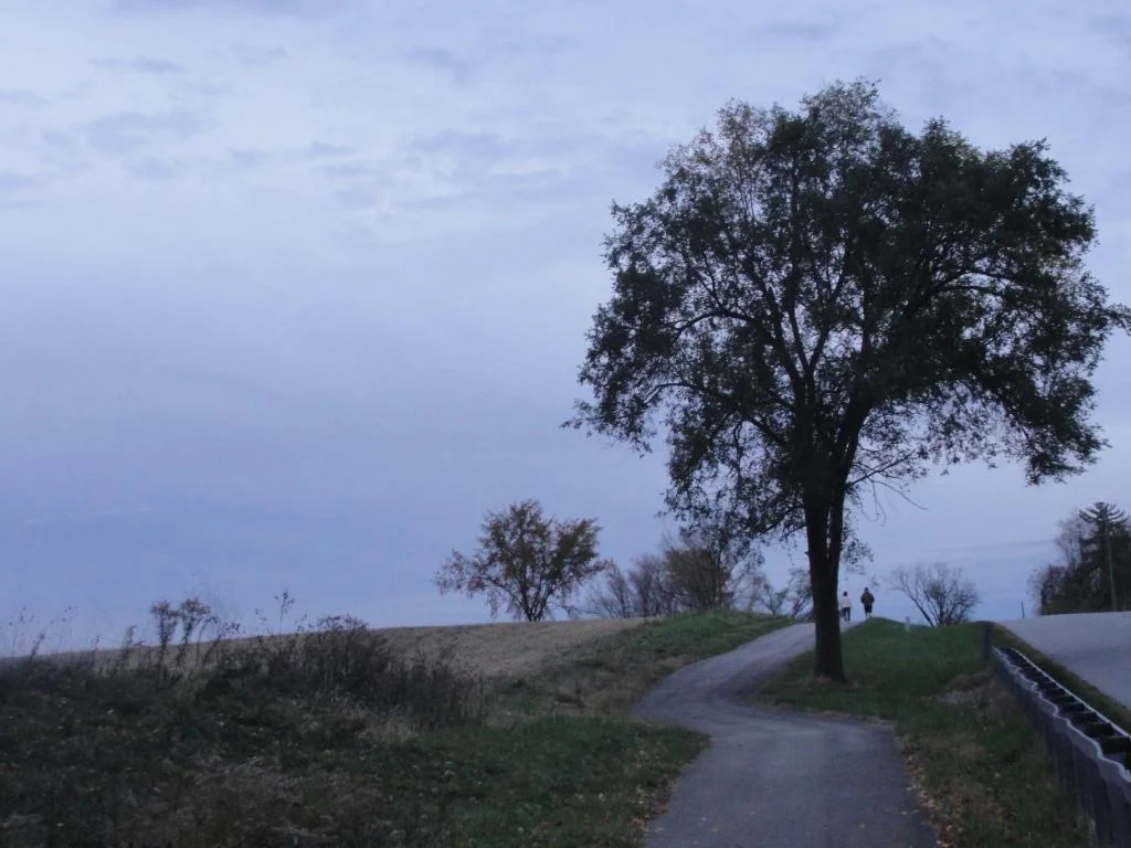 When Someone Dies by Suicide 