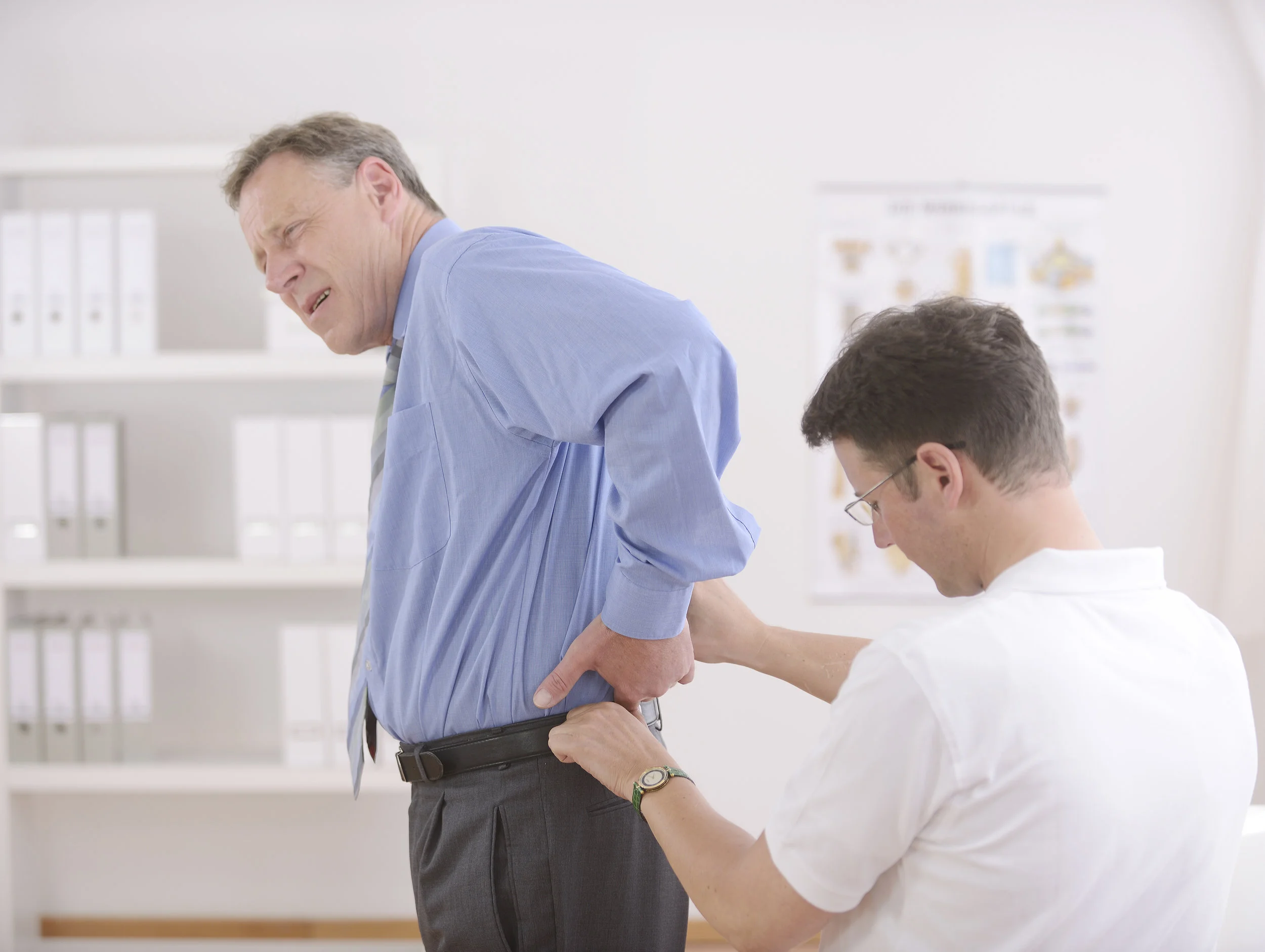 The Hip is the Largest, Strongest Joint in the Human Body.