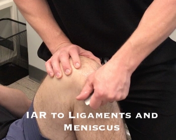 FSS-Knee5.jpg