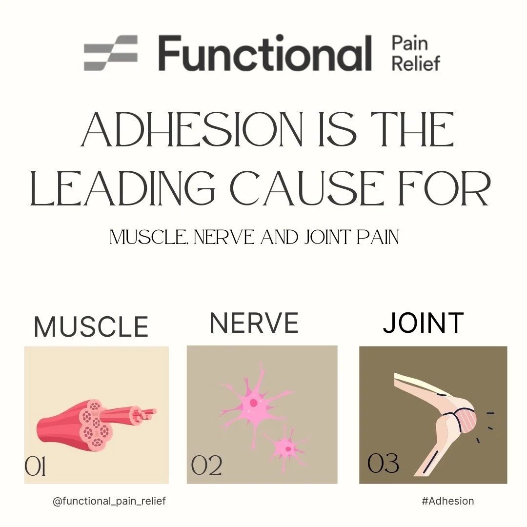 Consequences of Fibrous Adhesion