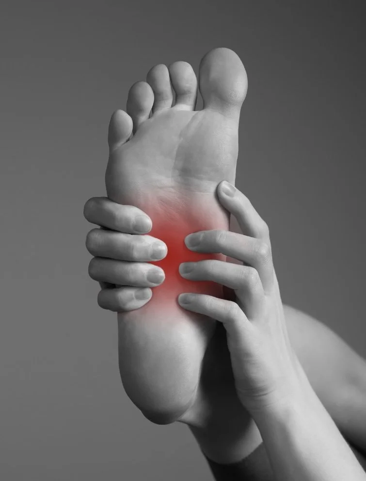plantar fascia blank 2.jpg