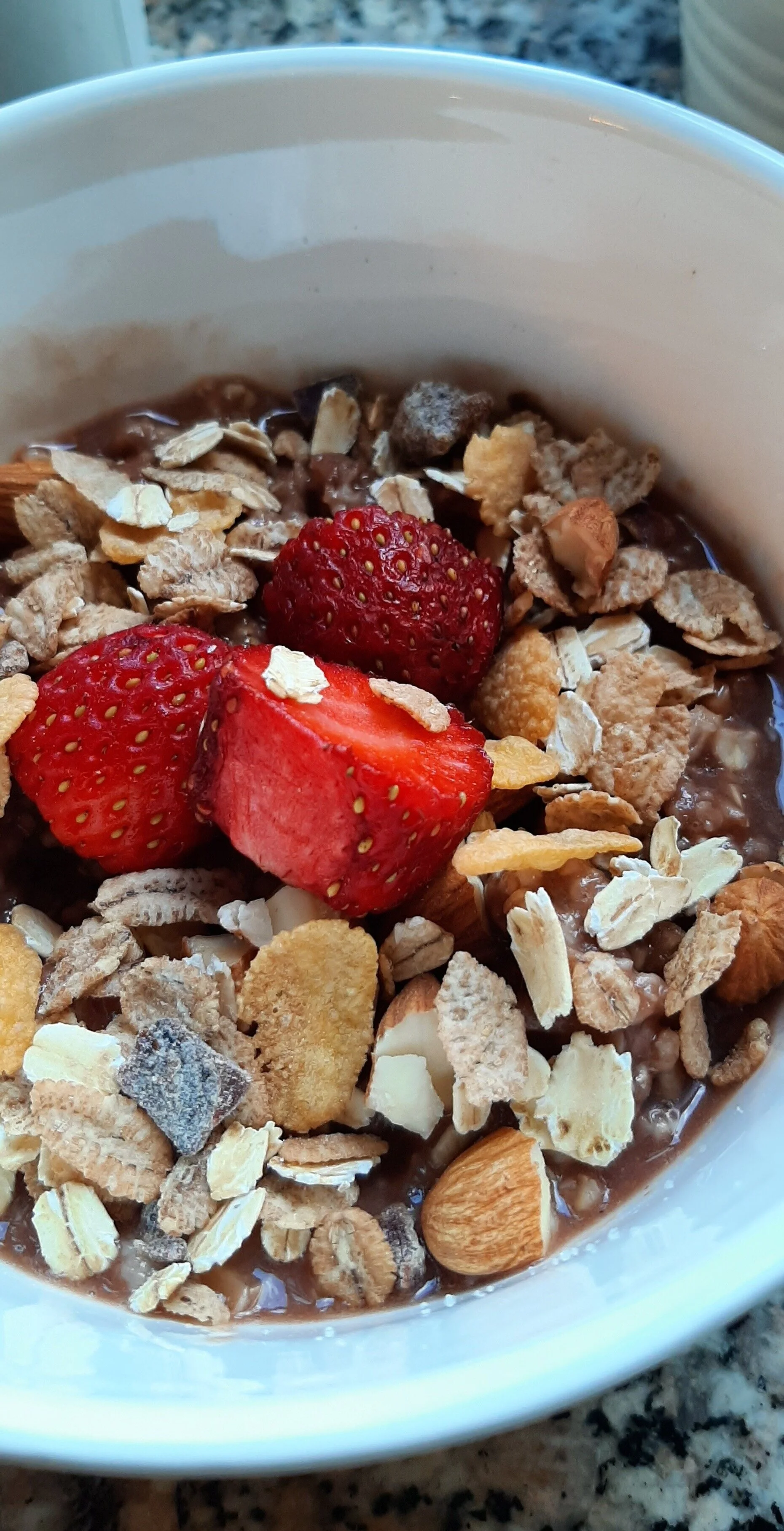 Chocolate Protmeal Breakfast