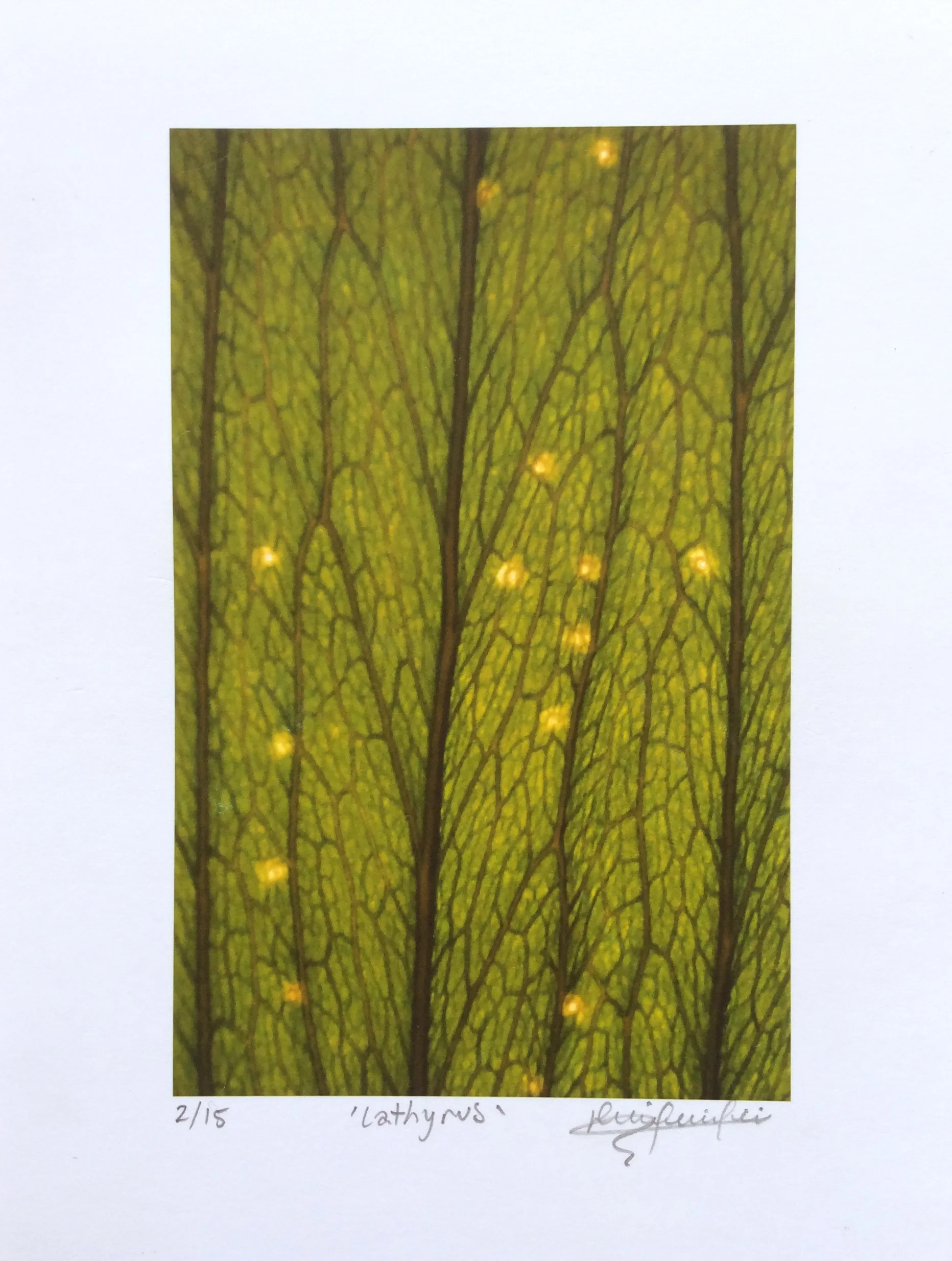 leaf-print.jpg
