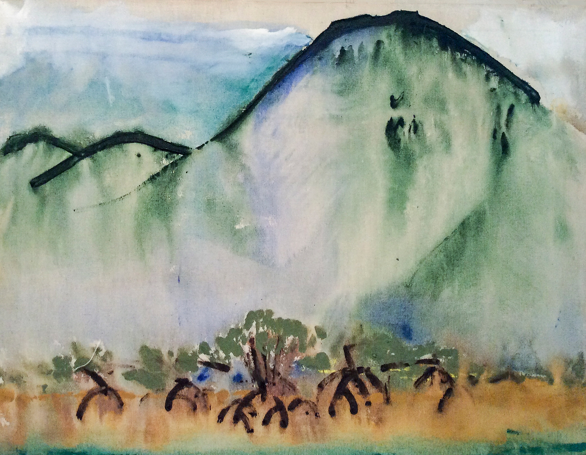 Mountains and Mangrove
