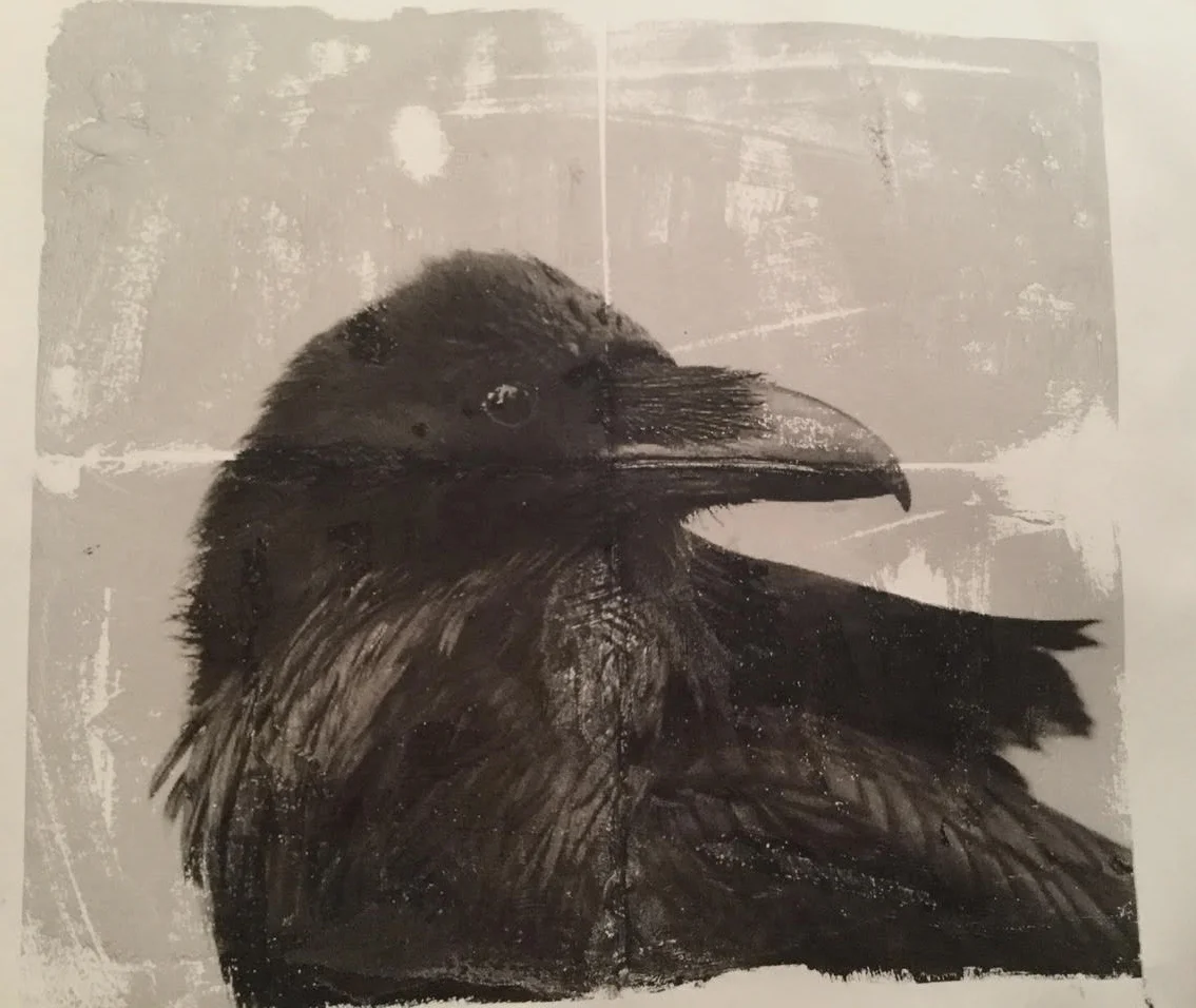 Raven