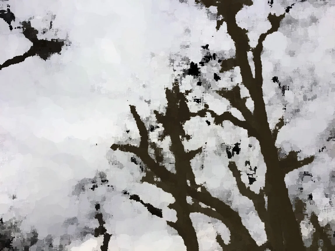 Looking Up
