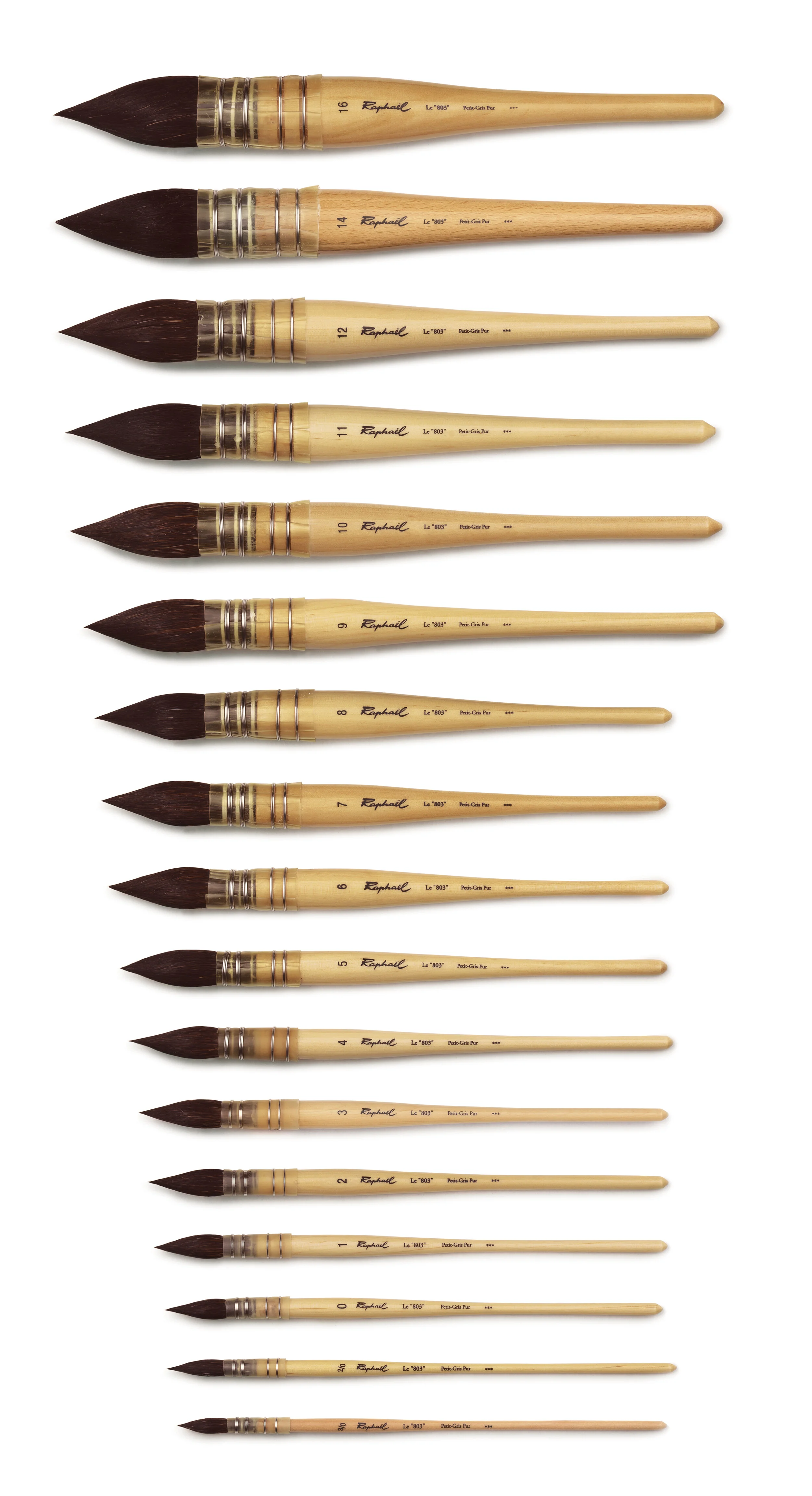 Pinceau Aquarelle Lavis