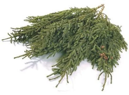 spruce-top-bundle.jpg