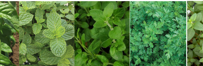 Screenshot 2026-03-02 at 7.26.27 PM.png