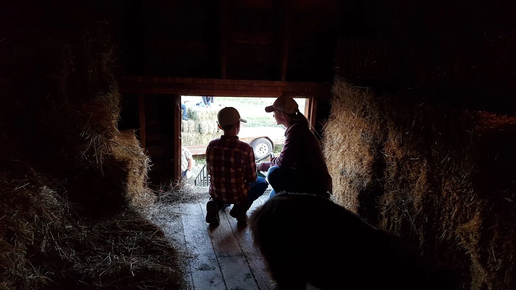 hay.jpg