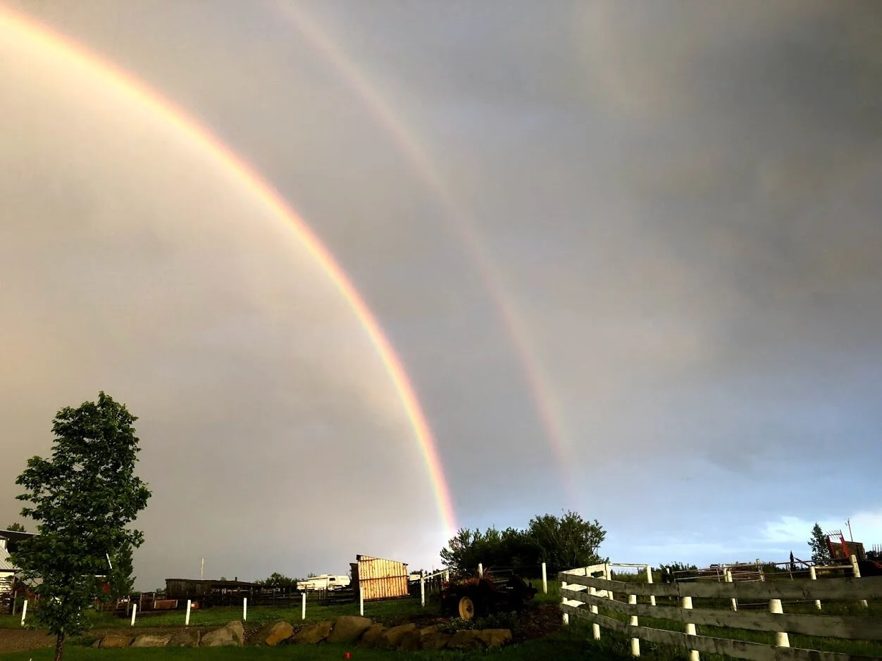 rainbow.jpg