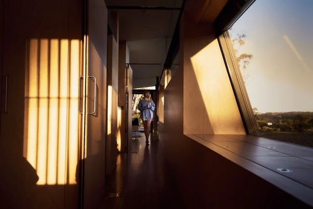 DSC_1369 2 Medium.jpeg