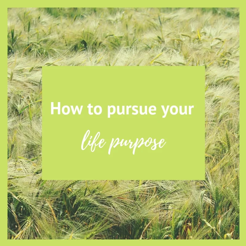 How to Find and Pursue Your Purpose for a Fulfilling Career and Life